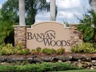 Naples Real Estate - Community BANYAN WOODS Photo