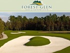 Naples Real Estate - Community FOREST GLEN Photo