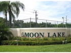Naples Real Estate - Community MOON LAKE Photo