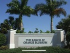 Naples Real Estate - Community ORANGE BLOSSOM RANCH Photo