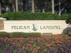 Naples Real Estate - Community PELICAN LANDING Photo