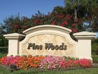 Naples Real Estate - Community PINEWOODS Photo