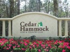Naples Real Estate - Community CEDAR HAMMOCK Photo