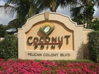 Naples Real Estate - Community COCONUT POINT Photo