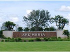 Naples Real Estate - Community AVE MARIA Photo